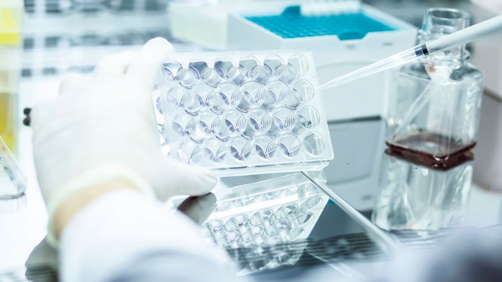 Y a-t-il une évasion du cancer? Avertissement effrayant pour 2040