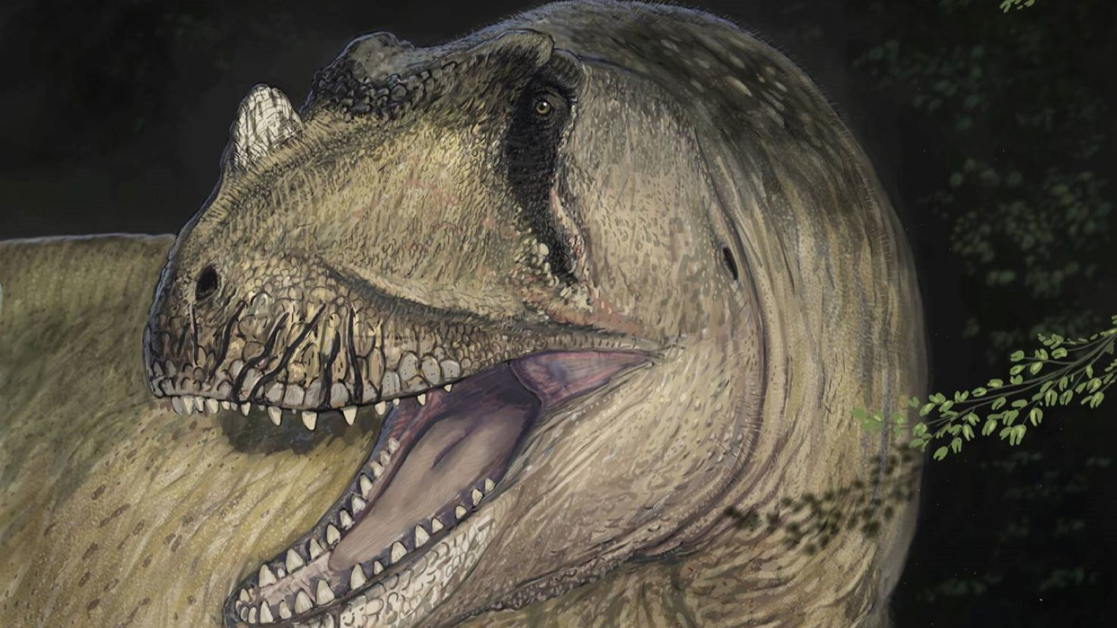 Dinosaure à dents de requin! L'un des plus grands carnasters terrestres du monde!