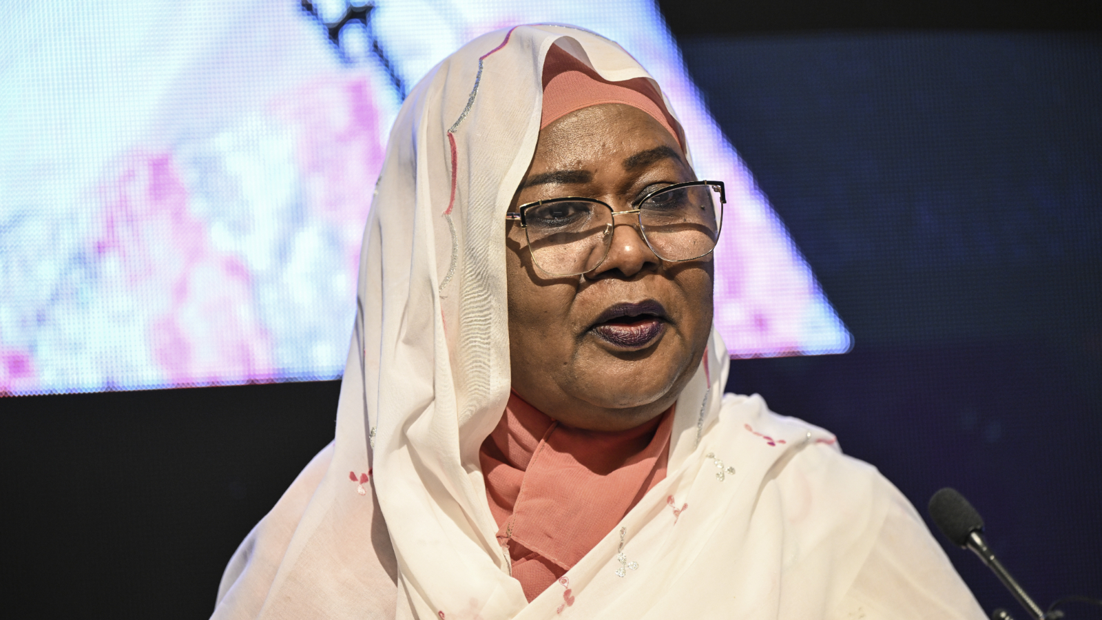 Ministre des investissements du Soudan Mehdi: Nous attendons de grands investissements turcs