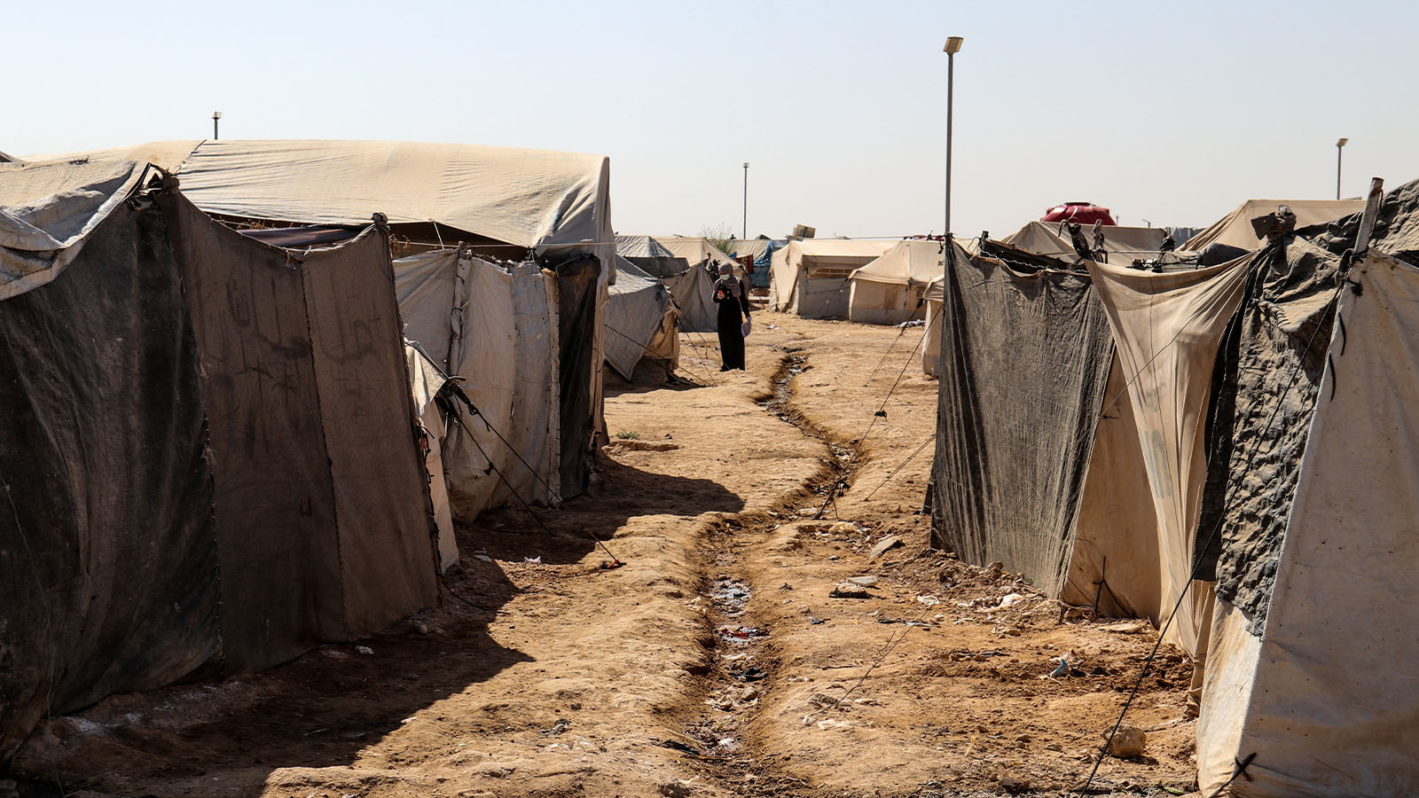 Fonctionnement cellulaire dans le désert! Intervention de Damas contre Daesh - Image: 2