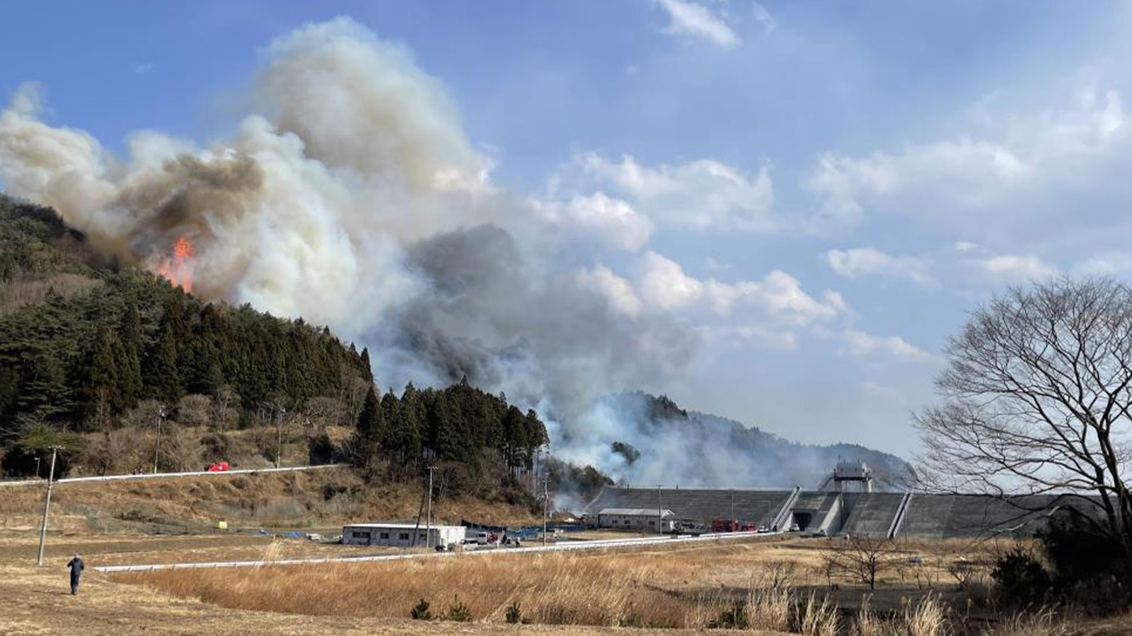 Force Fire au Japon le jour 4: mille 400 hectares de zone étaient cendres