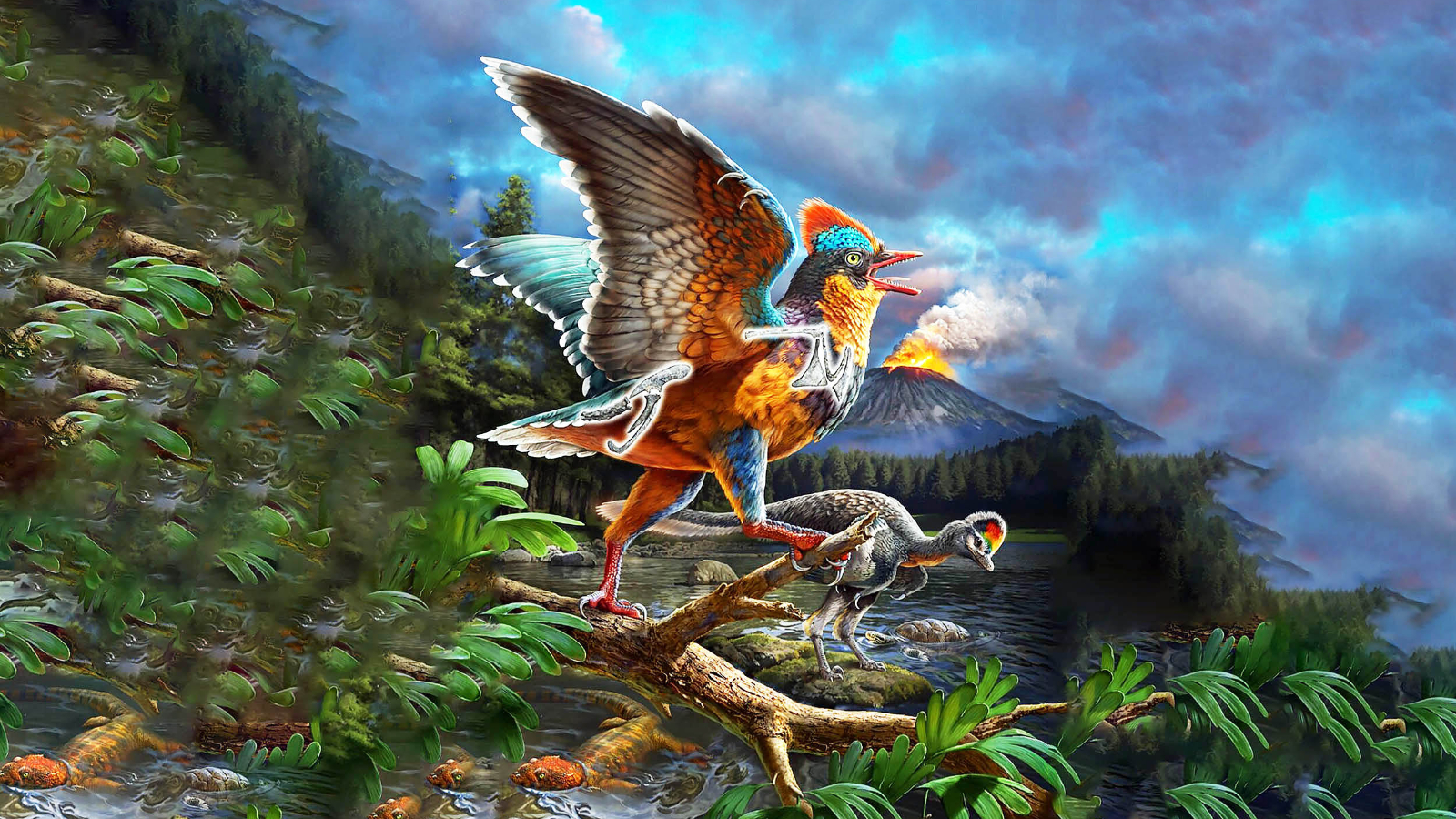 Les scientifiques ont révélé l'un des plus anciens oiseaux