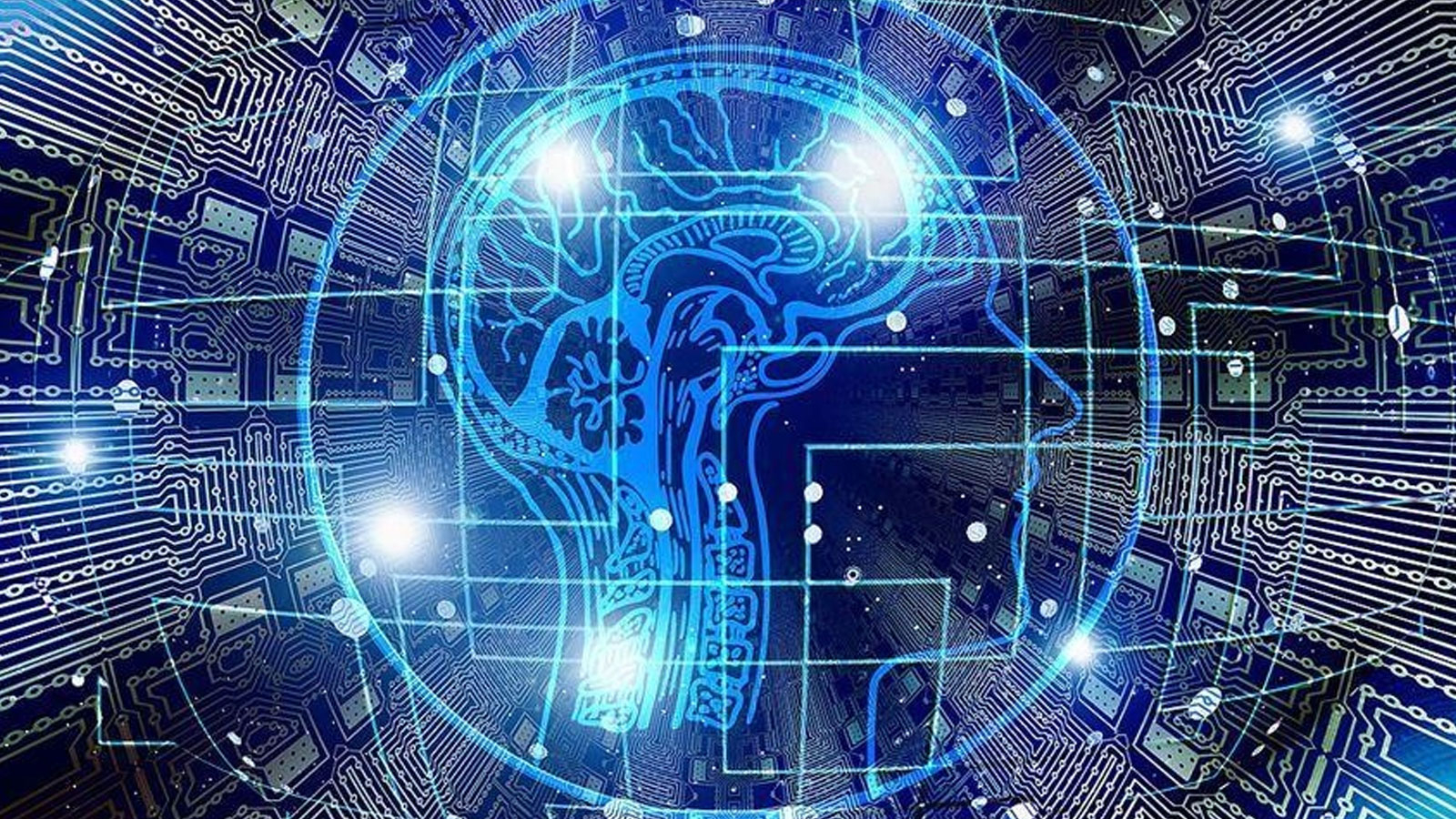 Un site soutenu par l'intelligence artificielle organise des conversations sexuelles avec des bateaux célèbres célèbres