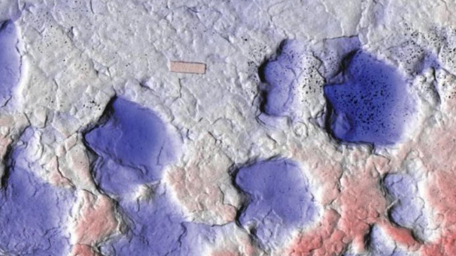 Un nouveau type de dinosaure blindé a été découvert au Canada