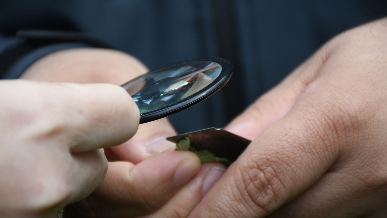 34 PROVINCE AGRICULTURAL Post a été affecté! Description des paiements de dommages du ministre Yumaklı