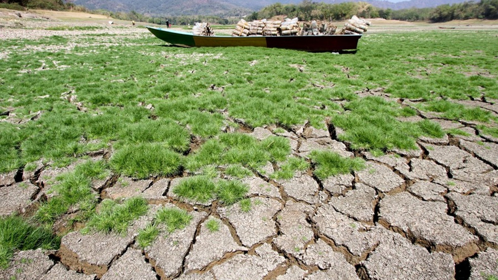 L'ONU a appelé à une urgence contre la crise climatique