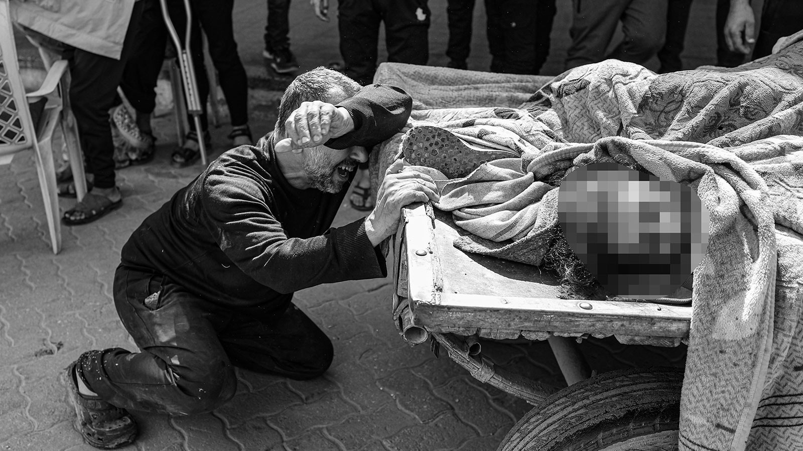 La perte de vie à Gaza est passée à 52 000 243