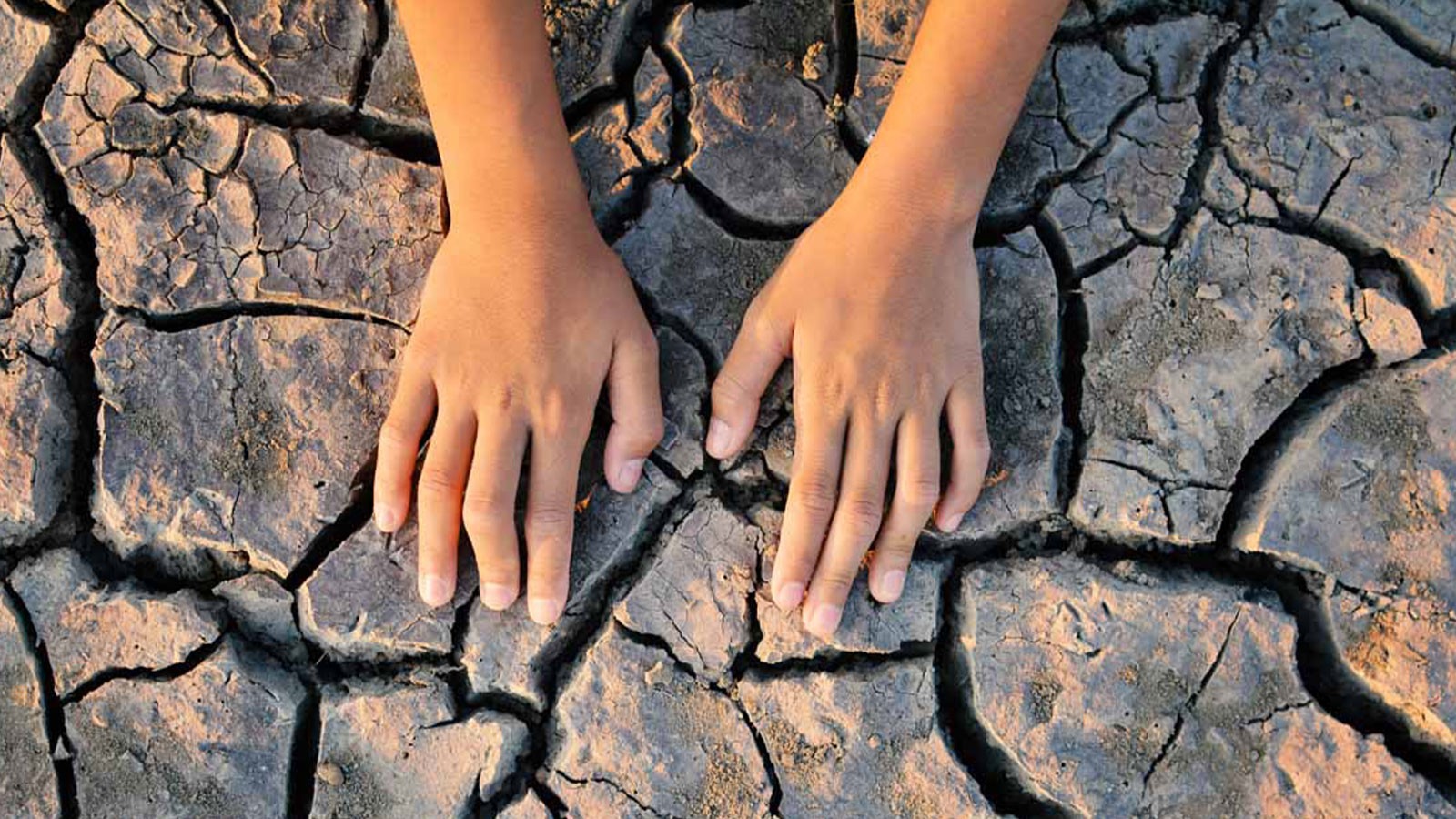 100 millions d'enfants nés en 2020 seront exposés à des températures extrêmes pour leur vie