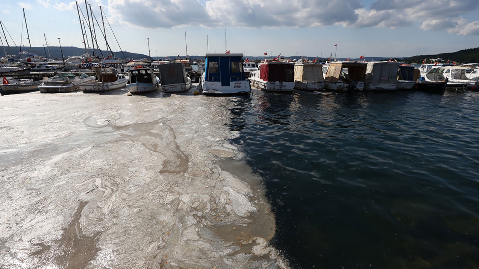 Marmara anxieuse attendra-t-elle une piscine de déchets?