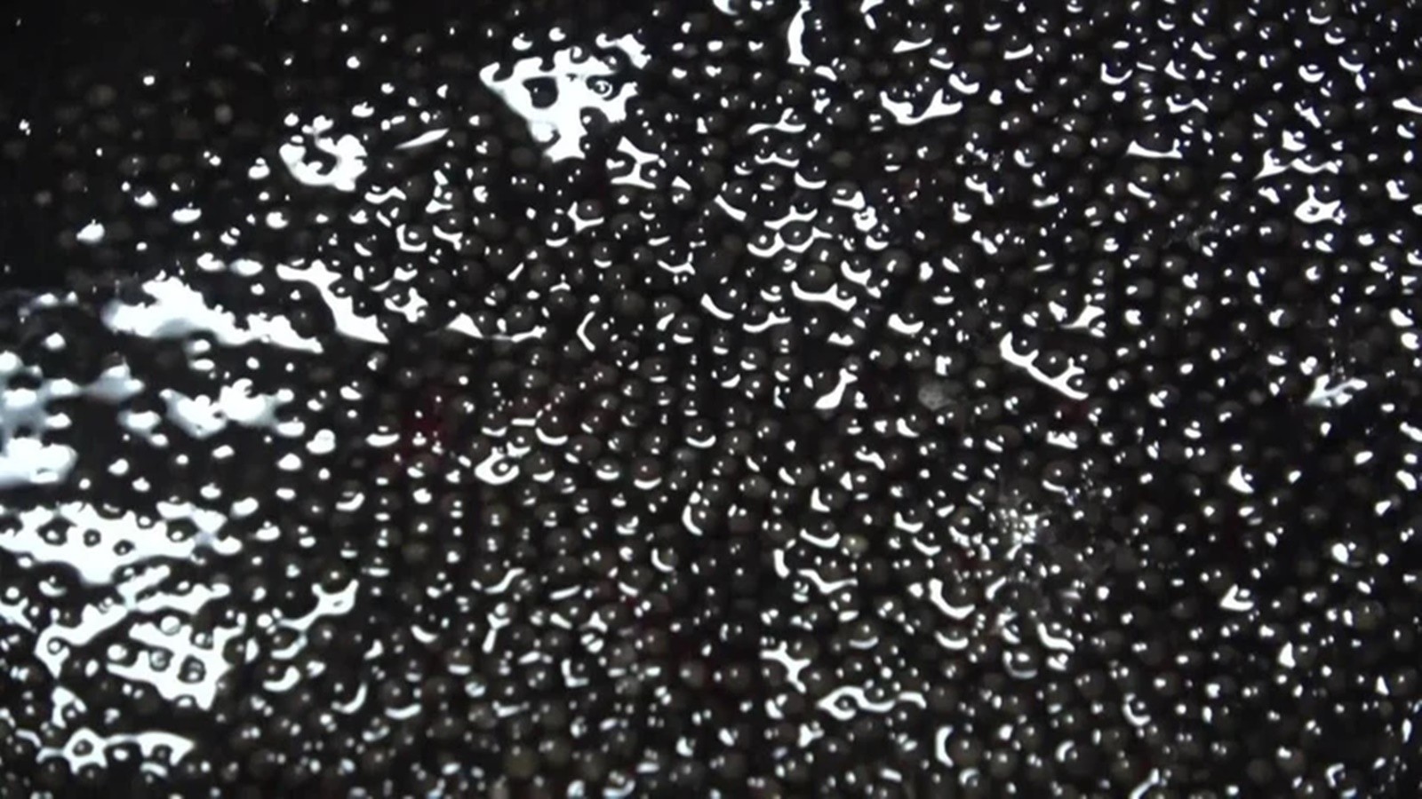 Il est cultivé patiemment, il fait une réserve! Le poids trouve les acheteurs pour 96 mille TL: