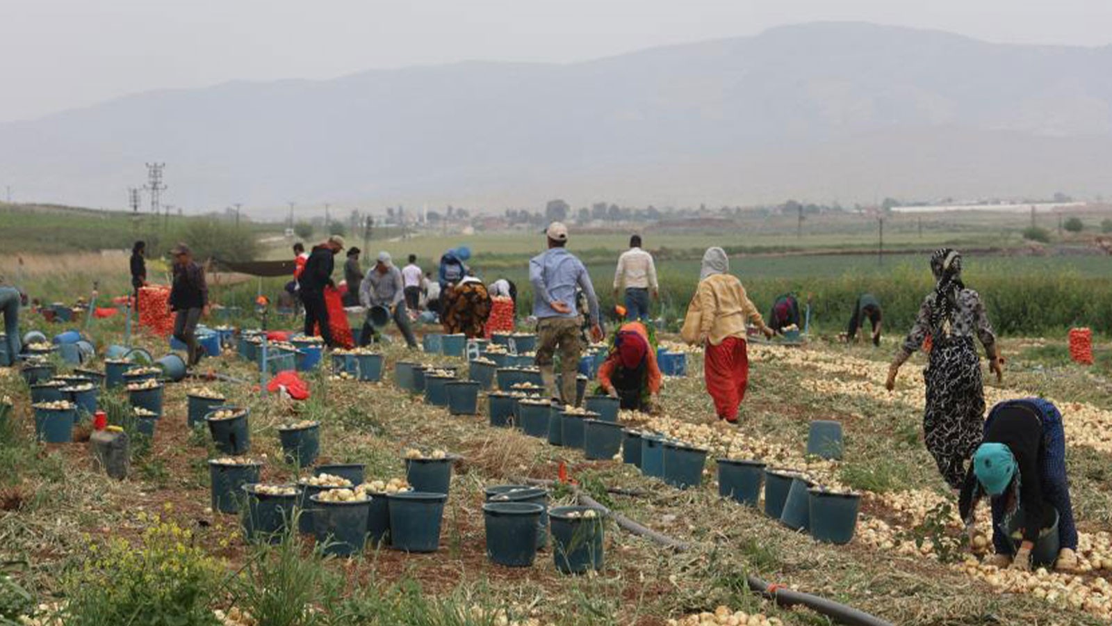 Le salaire quotidien des travailleurs agricoles a été annoncé!