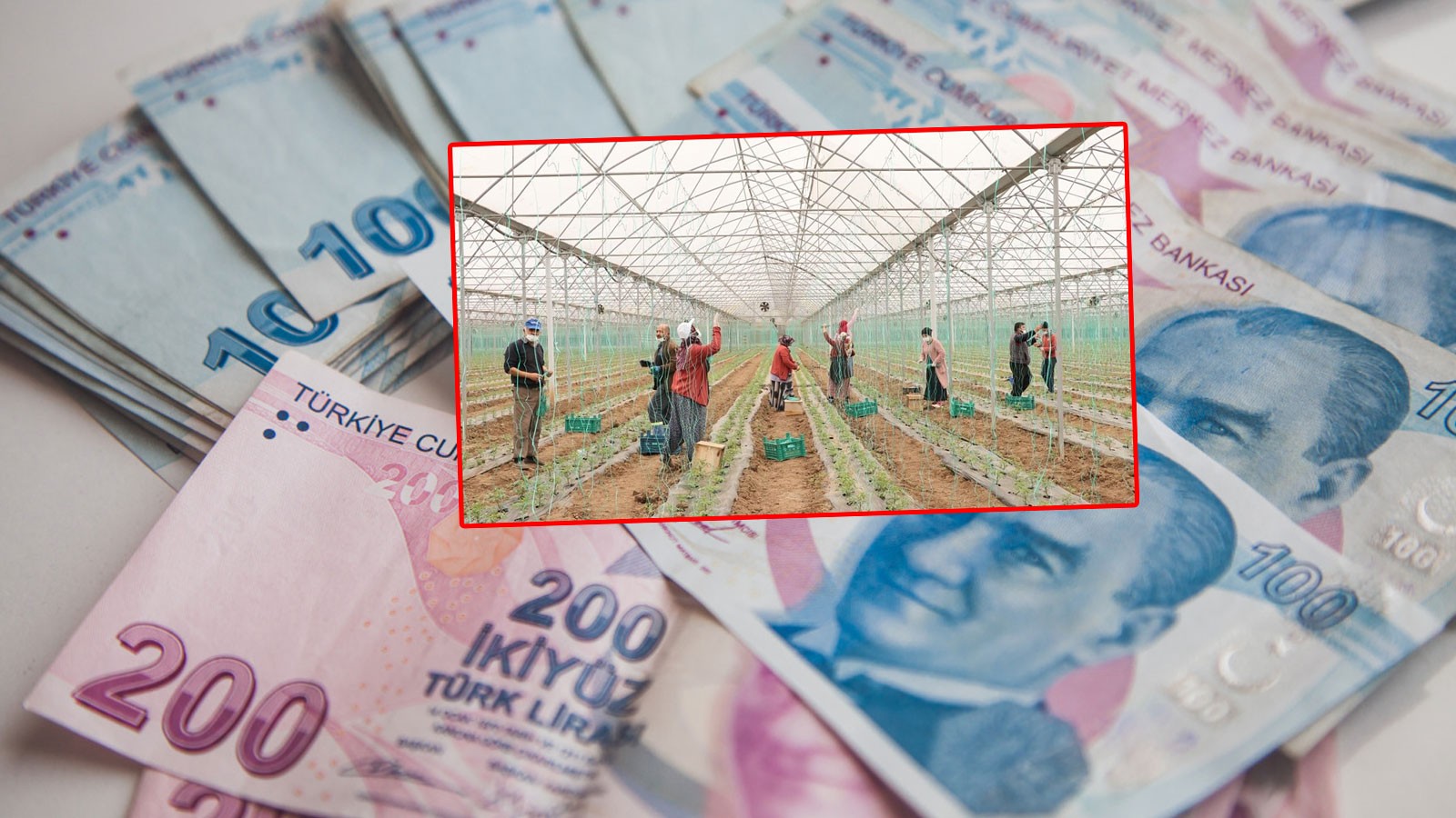 Le salaire quotidien des travailleurs agricoles de Samsun a été annoncé