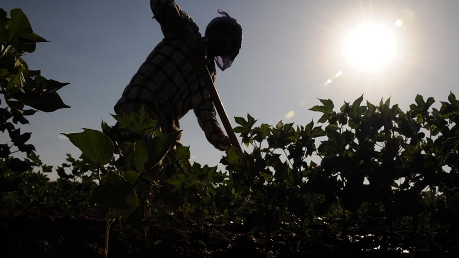 7 mille 160 projets recevront une subvention de 10,2 milliards de TL