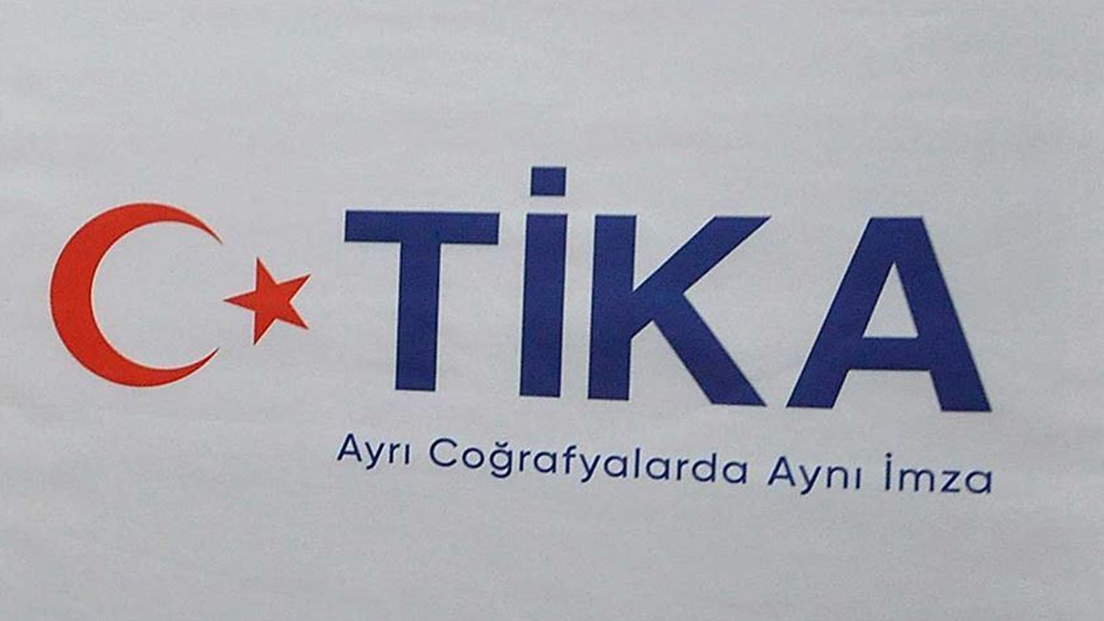 Tika a établi des serres de thé et d'agrumes en Azerbaïdjan