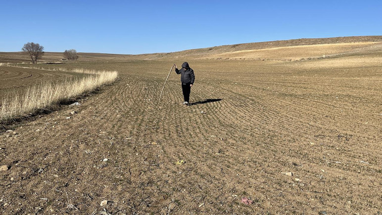 La production de blé diminue, dans quelle mesure la sécheresse va-t-elle atteindre l'agriculture? - Image: 2