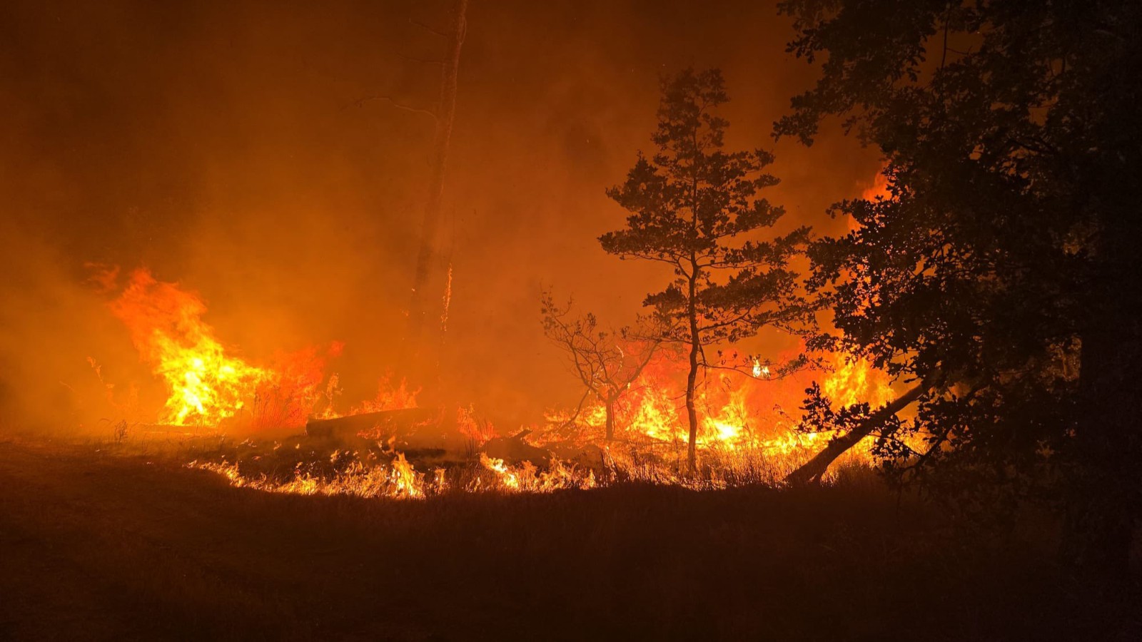 Fire forestier dans trois États d'Allemagne