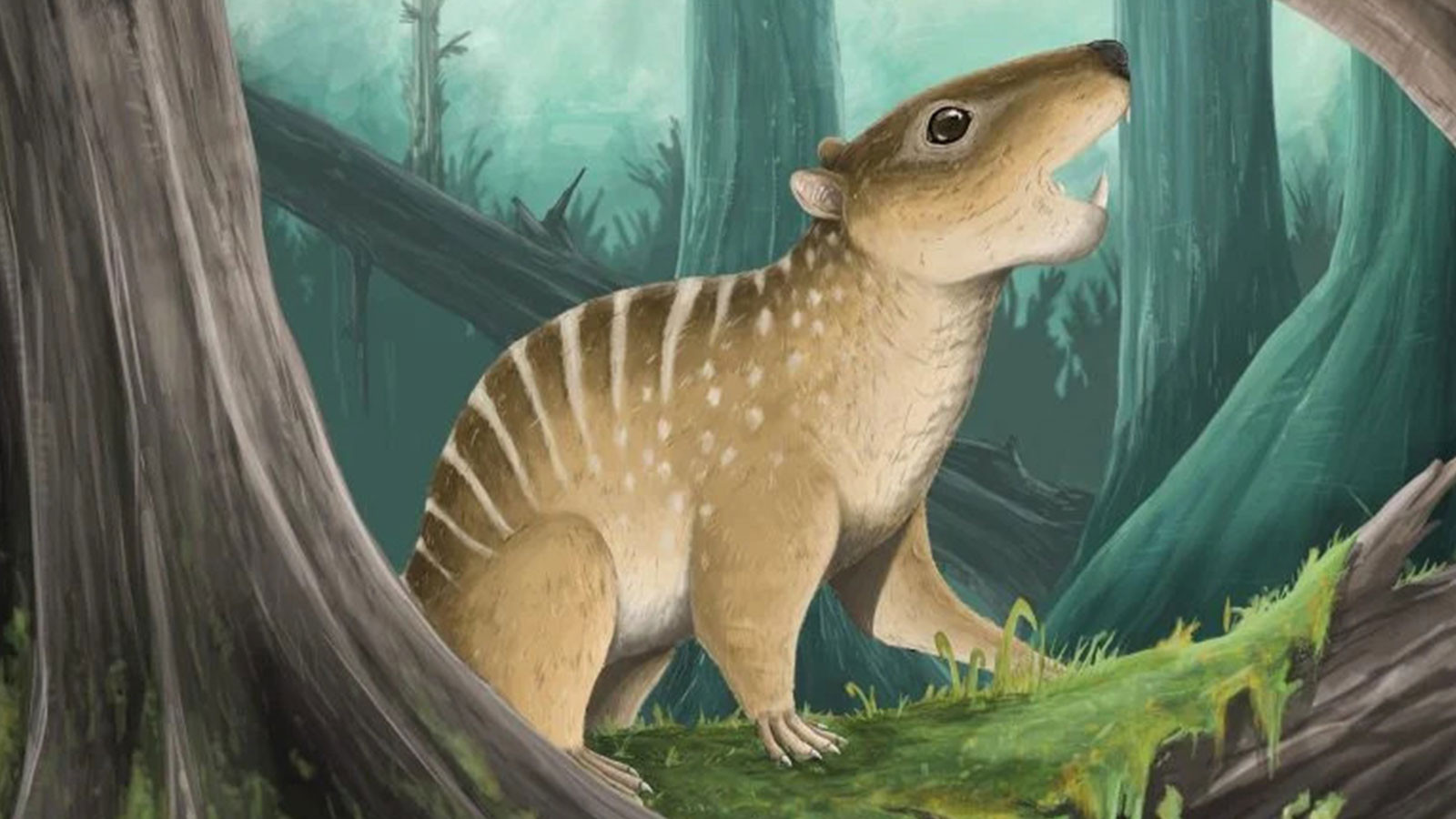 Grande découverte d'un étudiant en Angleterre: 145 millions d'années de fossile trouvés