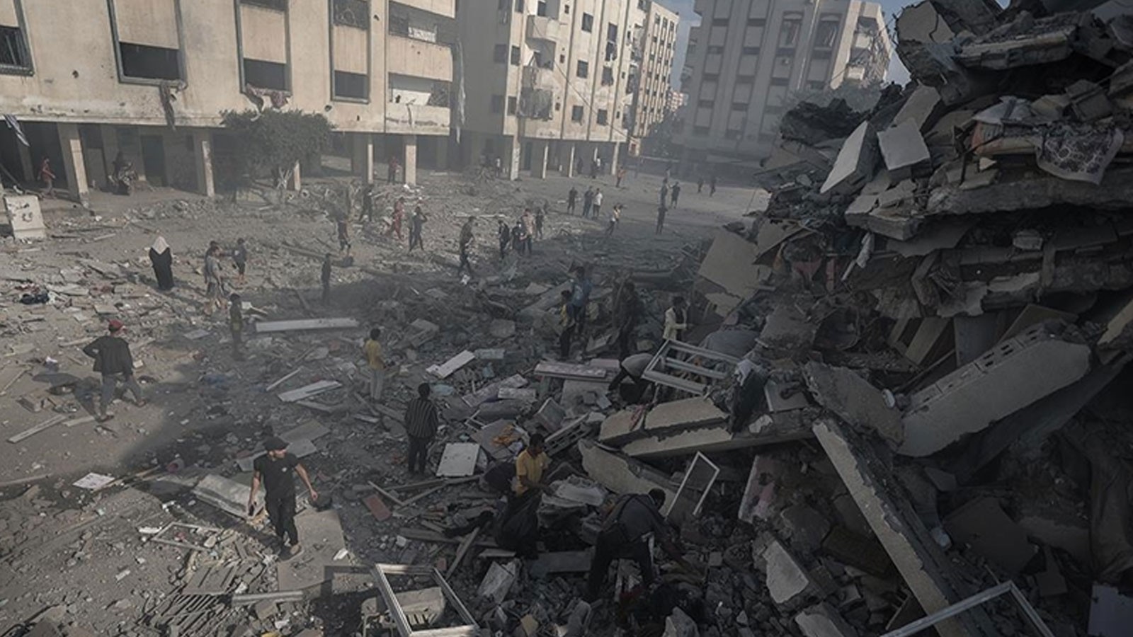 La perte de vies en vieillie dans les attaques d'Israël contre Gaza a augmenté de 116 au cours des dernières 24 heures et a atteint 56 000 647