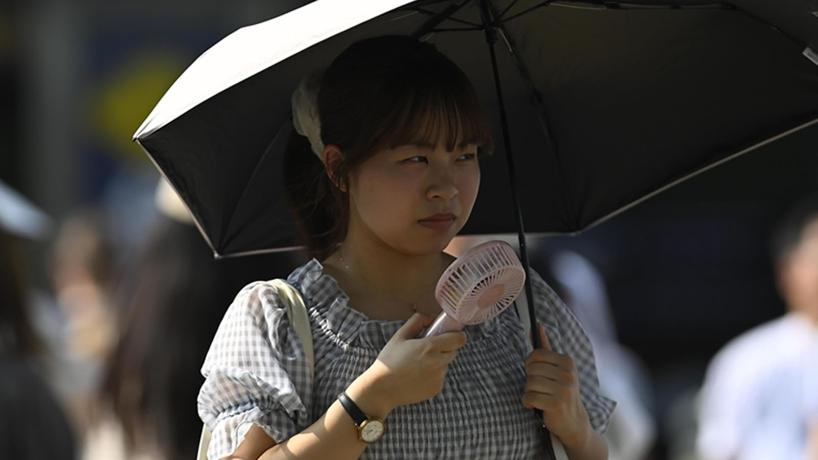 Le record de température dans le pays a brisé! Le jour le plus chaud de tous les temps a été expérimenté