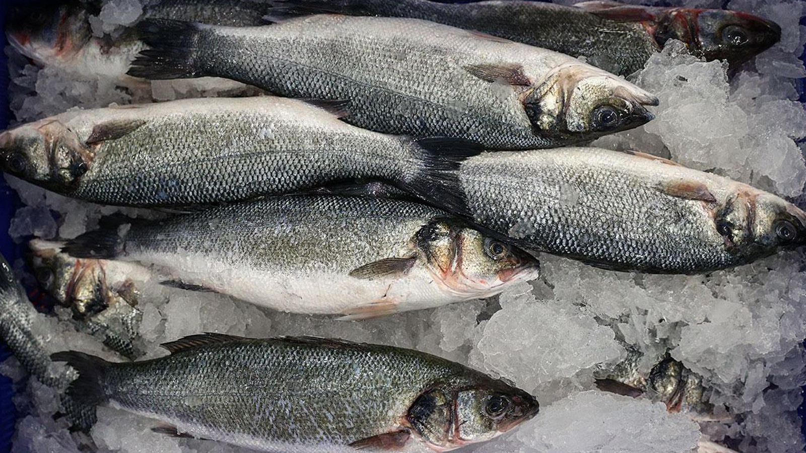 Les exportations de pêche ont atteint 973 millions de 820 000 dollars