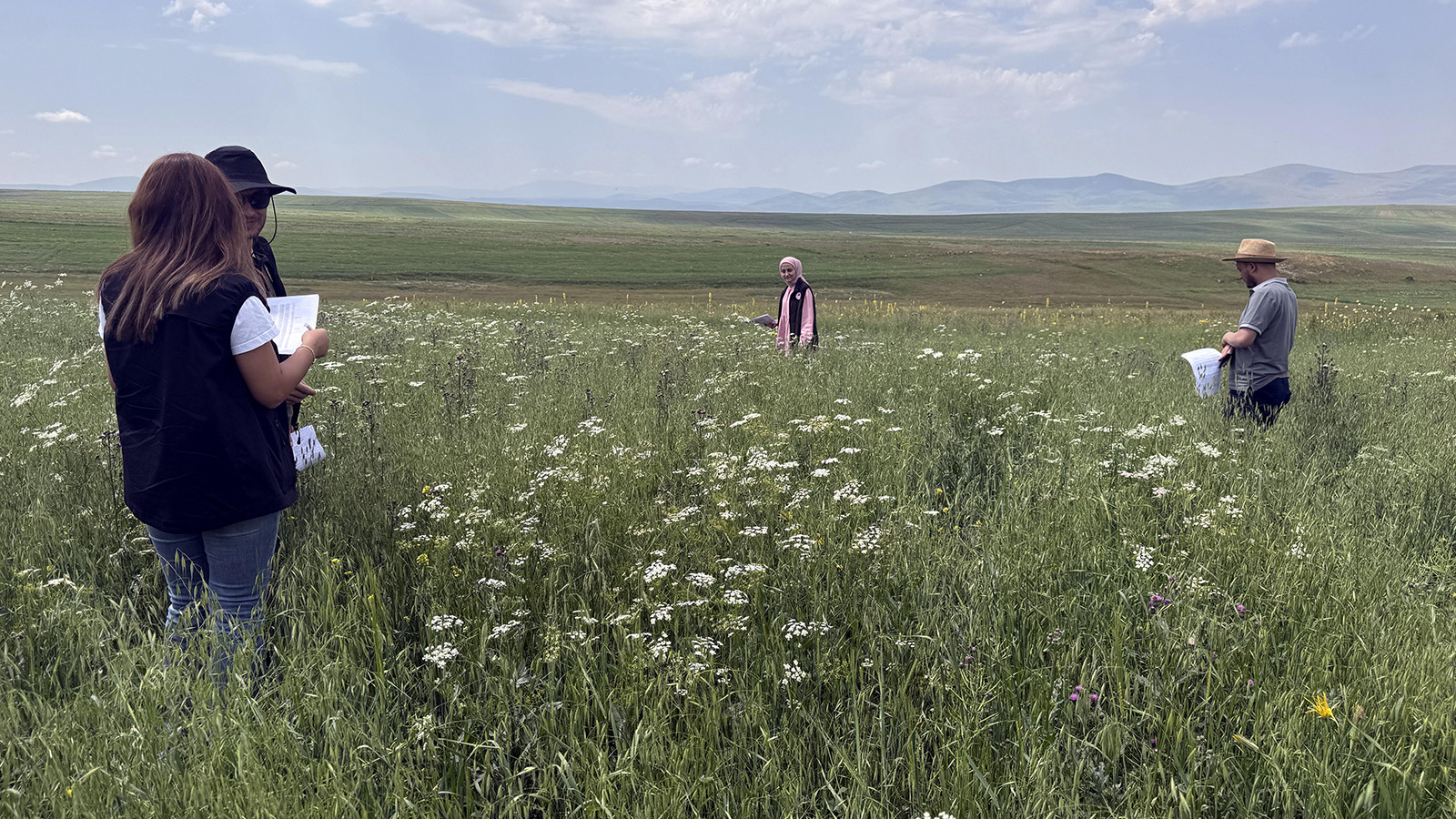 Les ingénieurs agricoles ont fabriqué des produits agricoles sur le terrain à Ardahan