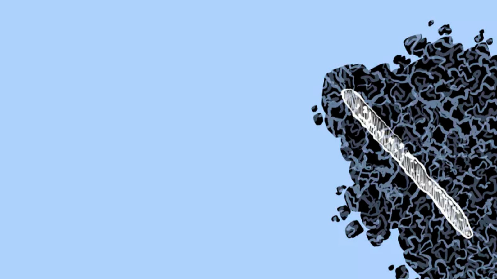 Okin - Soleil sans vivre, la plus petite reine du monde!