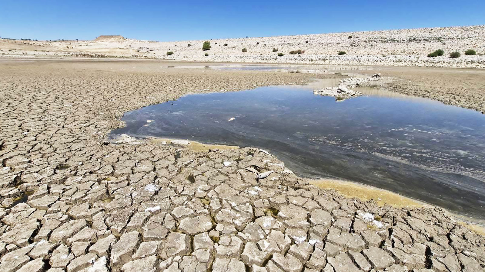 L'Espagne purifie l'eau salée, pourquoi Türkiye ne peut-il pas le faire?