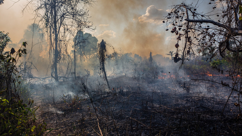 Le monde est entraîné en catastrophe, aucune des cibles ne tient - Image: 2