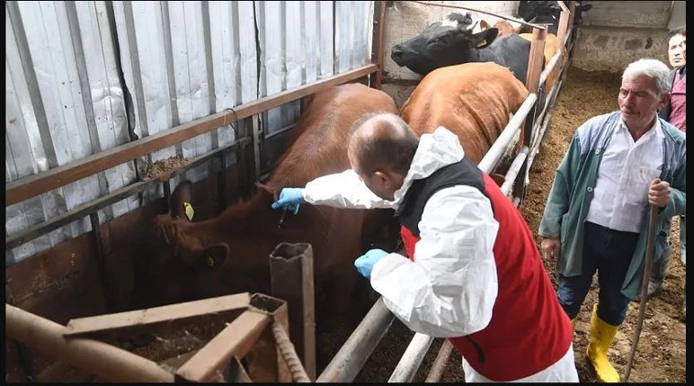 Le journal Whisper a fait cela aussi! Lie de viande artificielle élargir l'épidémie - Image: 2