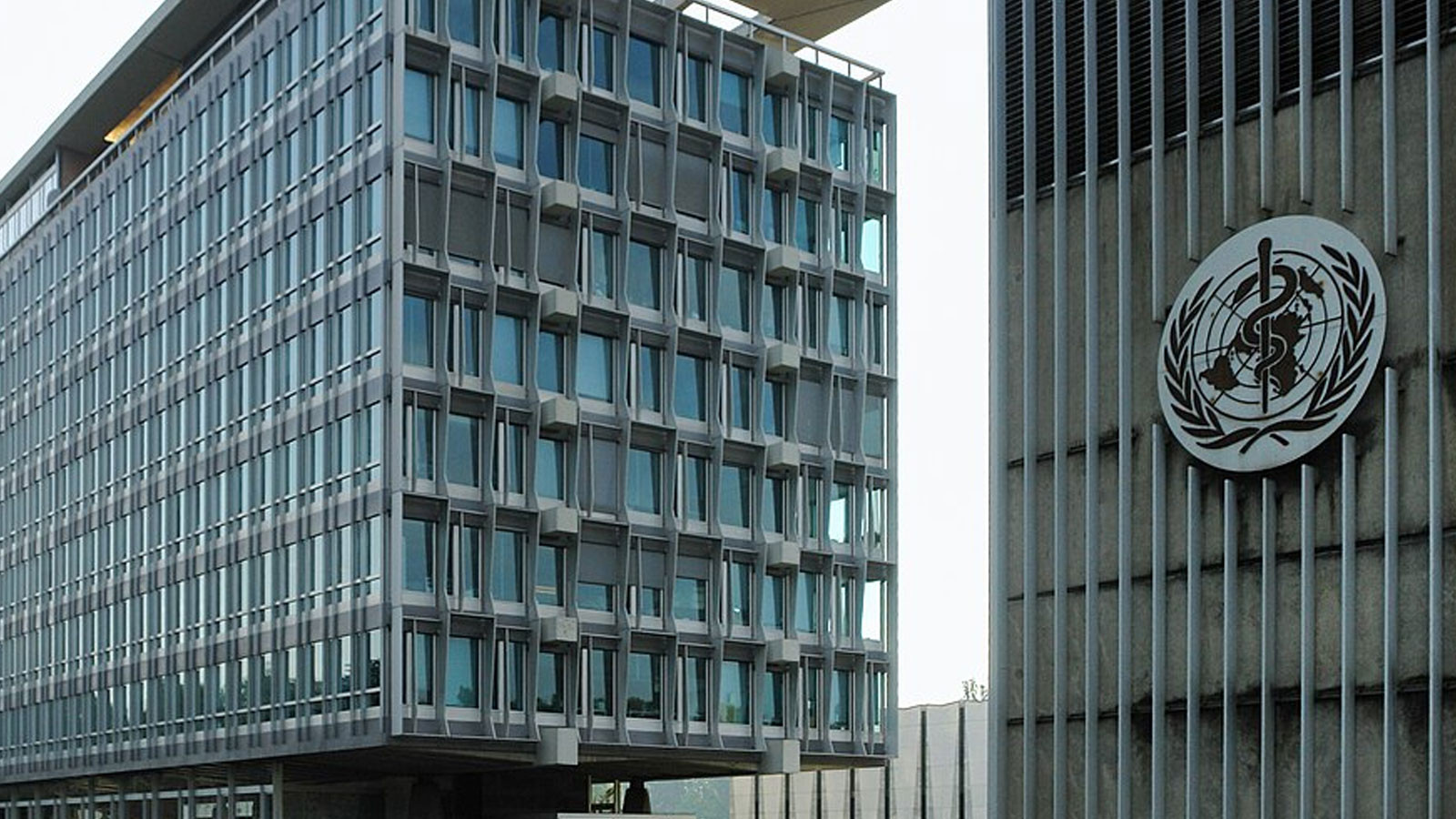 DSö a rapporté que 148 personnes avaient été tuées à Gaza cette année en raison de la malnutrition cette année