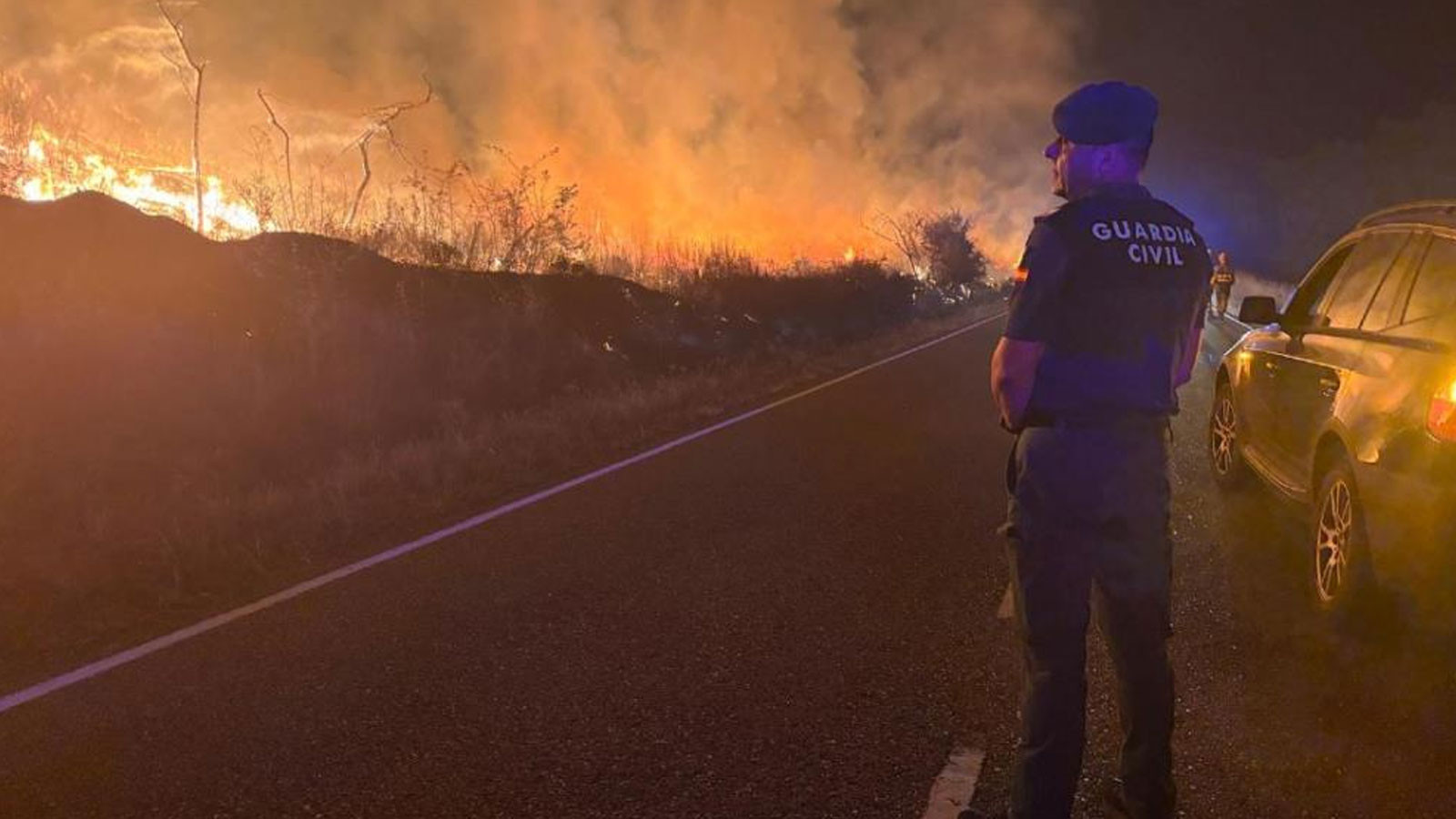 Forest Fire a duré 7 vies en Espagne