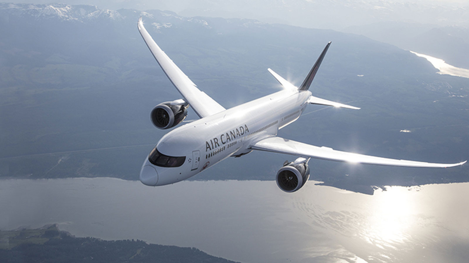 Les employés d'Air Canada se sont mis en grève; La société suspend ses activités