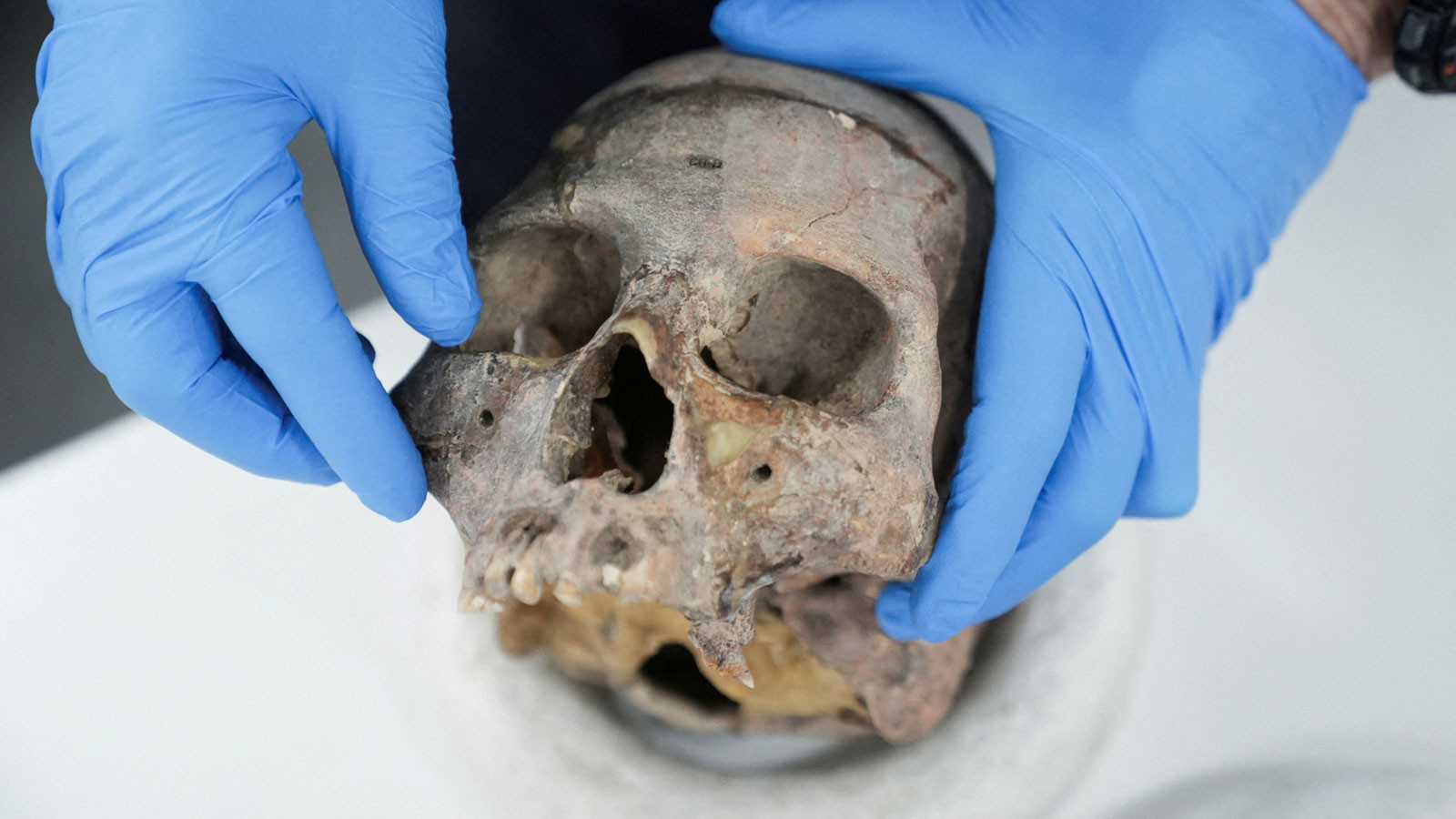 Les scientifiques ont découvert un nouveau type d'humain