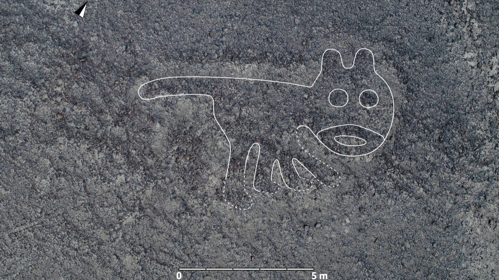 L'intelligence artificielle a fait une découverte frappante dans les mystérieuses lignes de Nazca