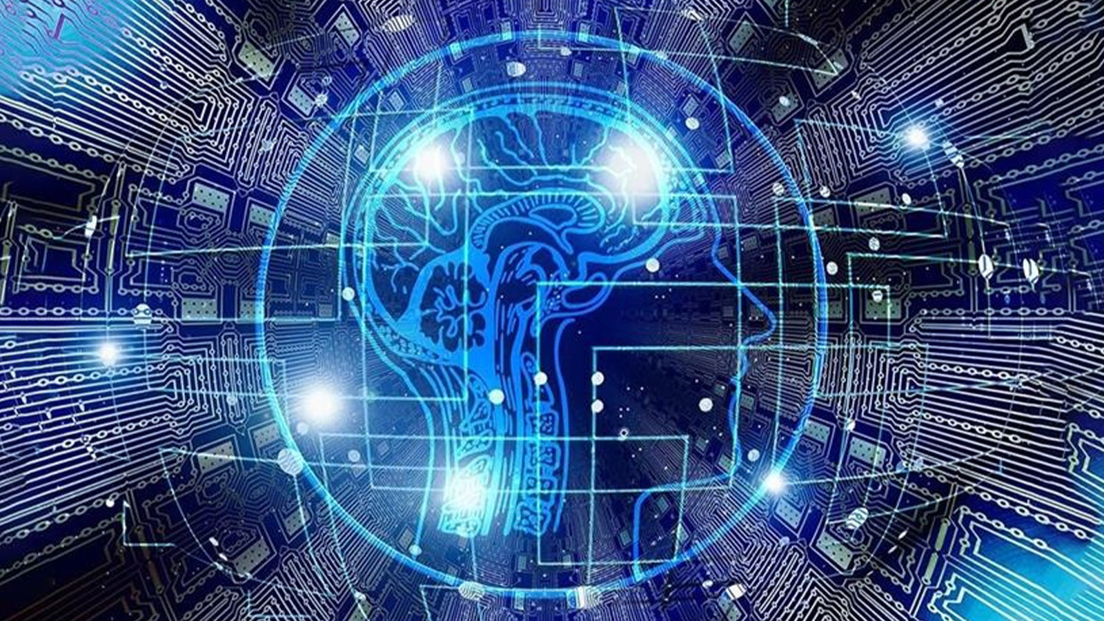 L'intelligence artificielle voit «les hallucinations»