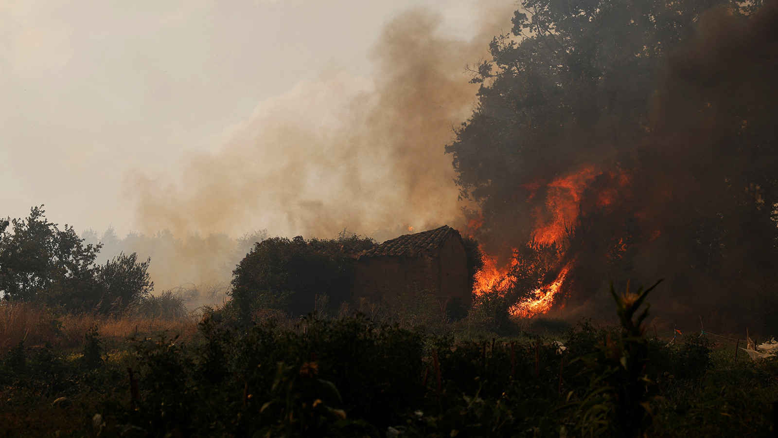 Plus de 5 000 personnes sont restées dans les rues en Espagne en raison d'incendies
