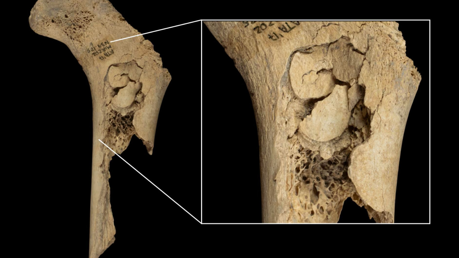 Résidus humains cuits trouvés en Espagne à partir de 5 000 ans il y a 500 ans!