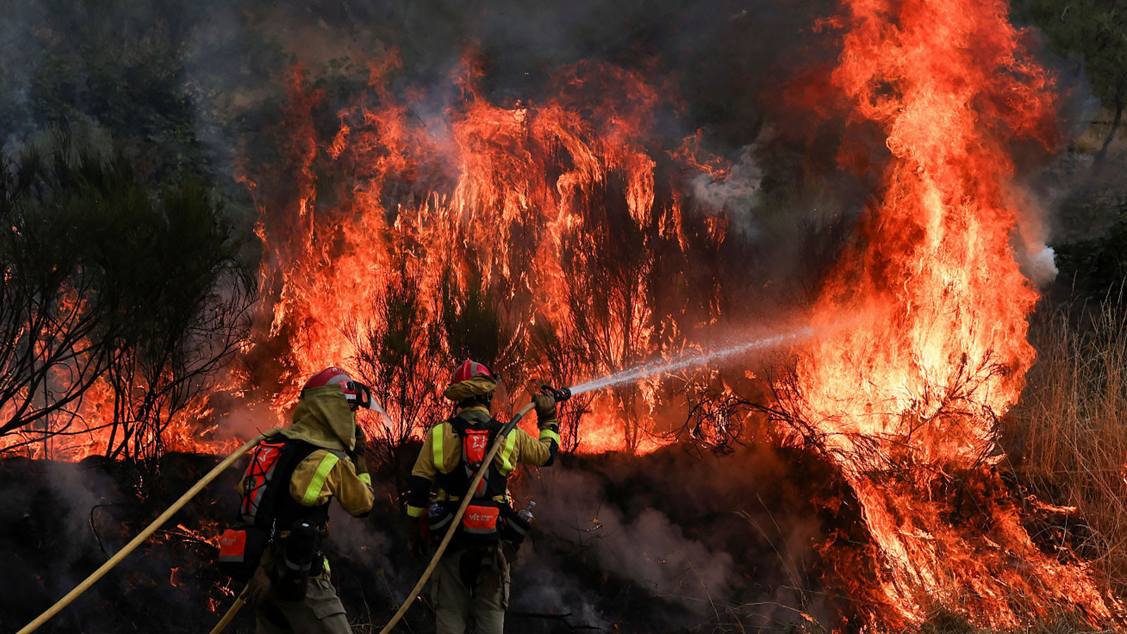 L'Europe brûlera et se tournera vers les cendres! Les actifs forestiers peuvent être épuisés