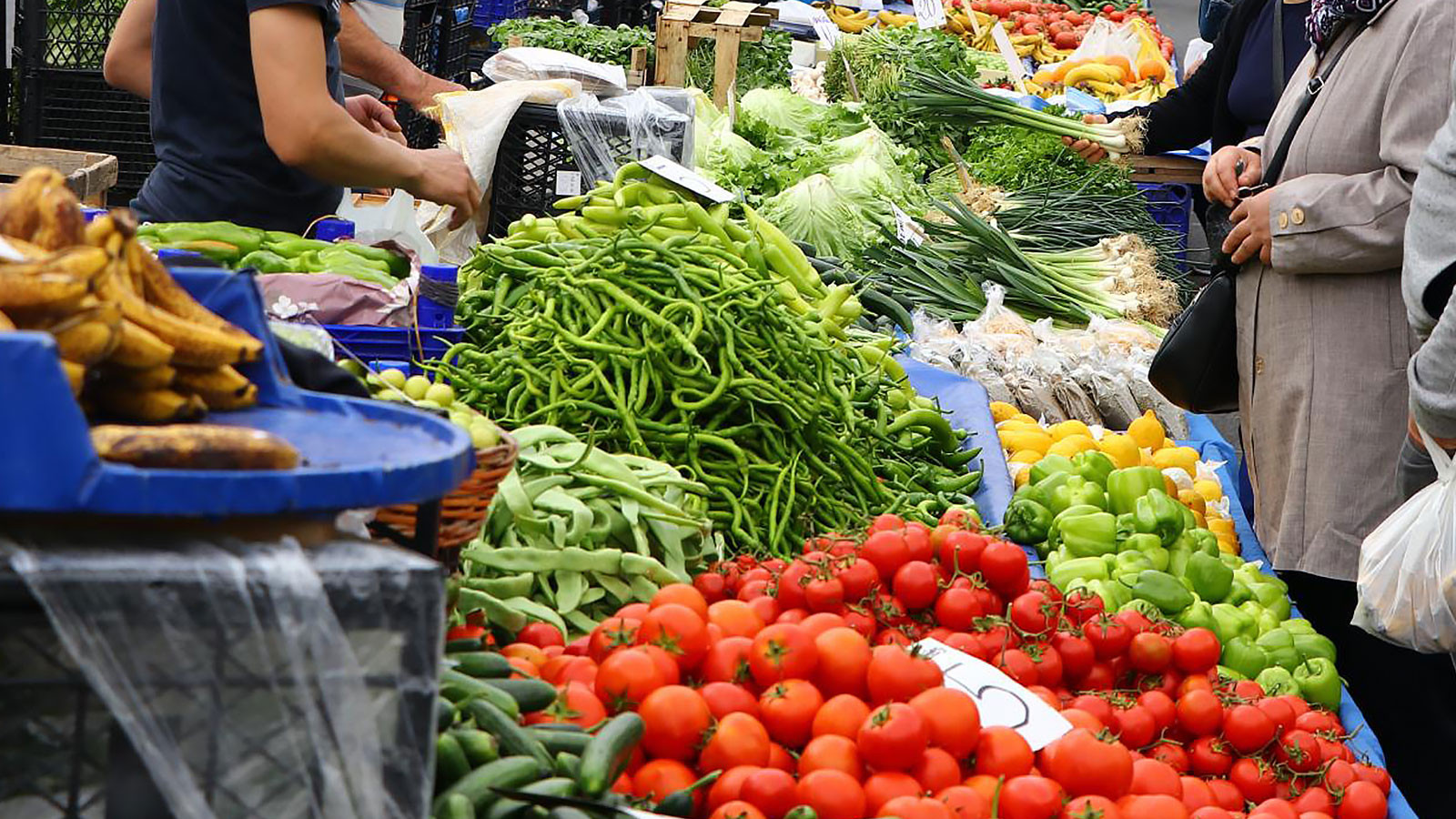 C'est pourquoi il ne se remplit pas, ce que Ala, l'achetez au pays 11, le vend à 48