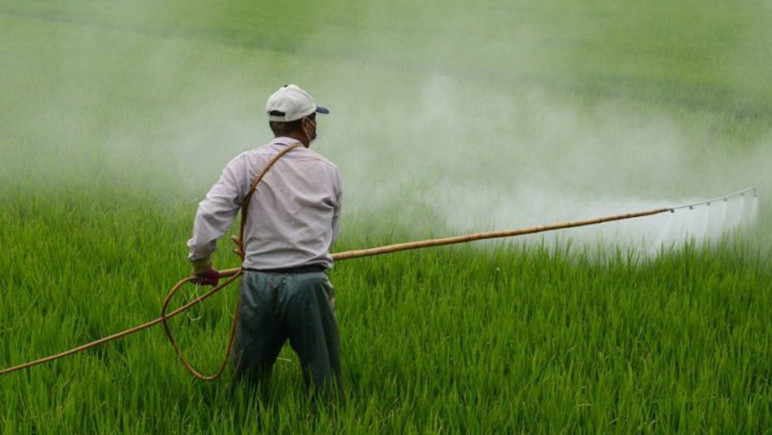 Ils endommagent Türkiye, les produits de pesticides reviennent de la frontière - Image: 2