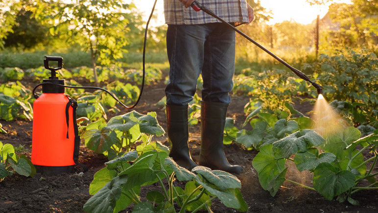 Au lieu d'une intervention du travail avec du poison! Est-ce un déficit travailliste de pesticide? - Image: 2