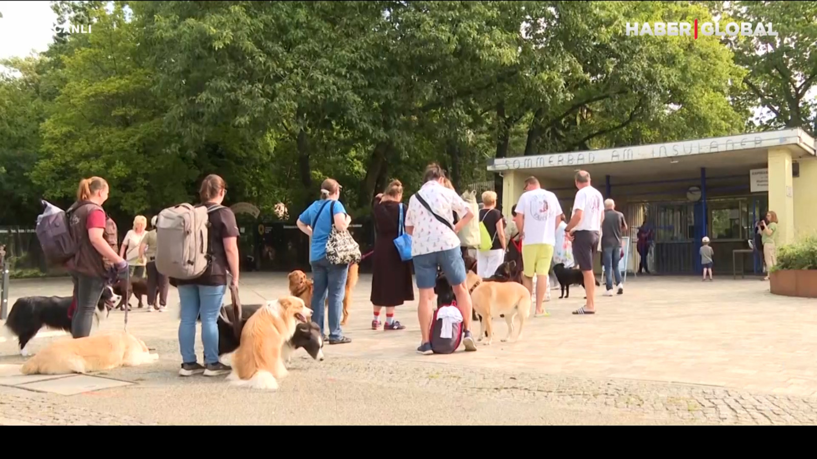 Aux chiens "touristique" Impôt: