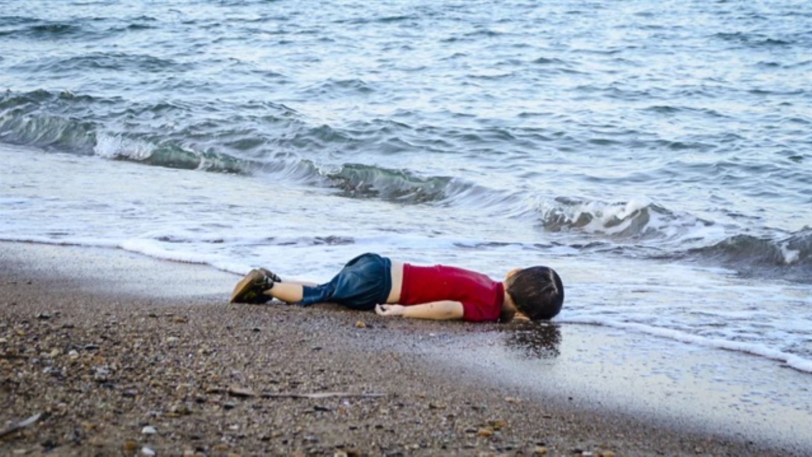 Aylan Bebek avait 10 ans avec cette vie, puis 30 000 personnes sont mortes