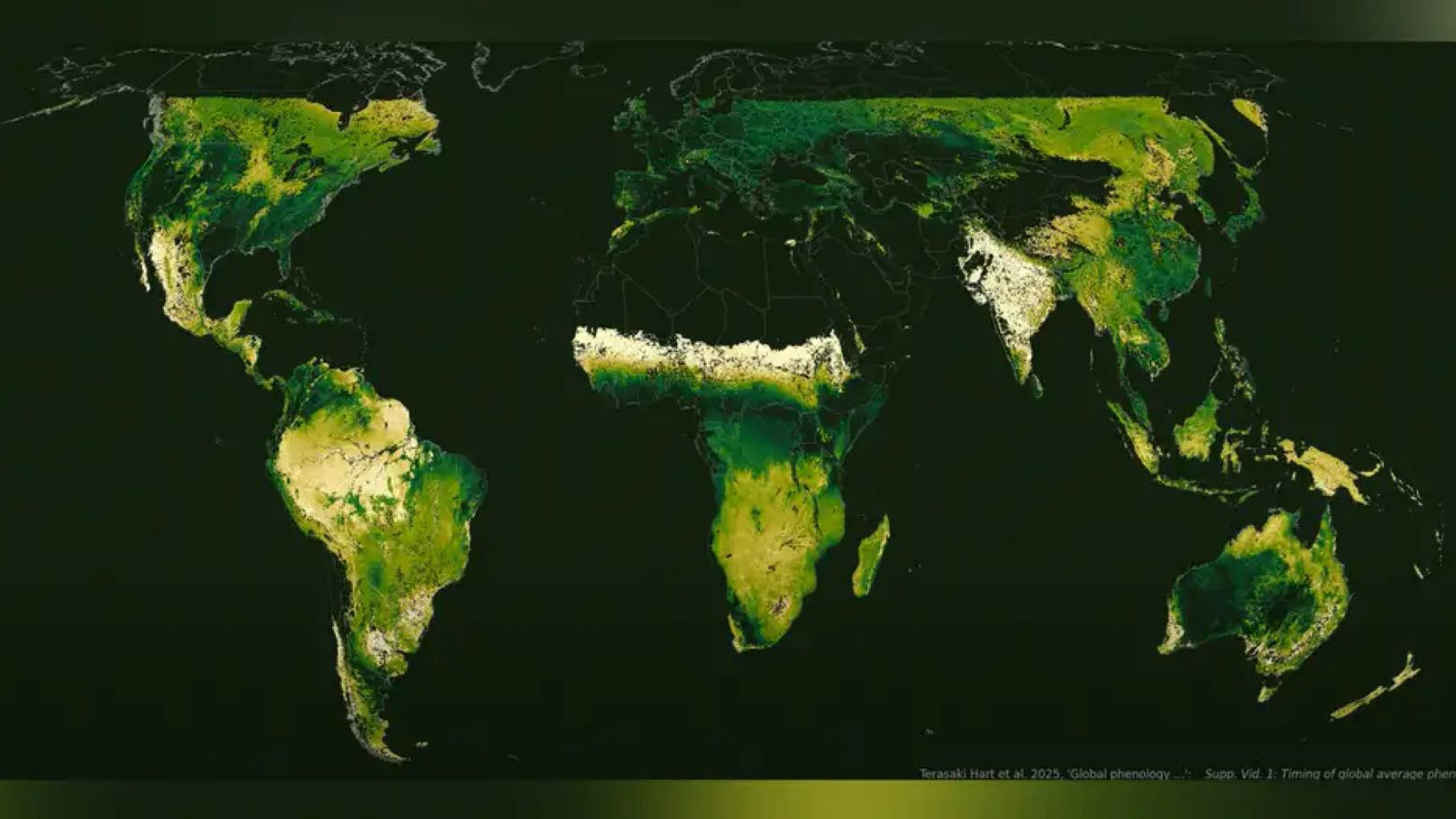 Hit du réchauffement climatique: retard saisonnier dans les pays méditerranéens, Türkiye a également été impressionné