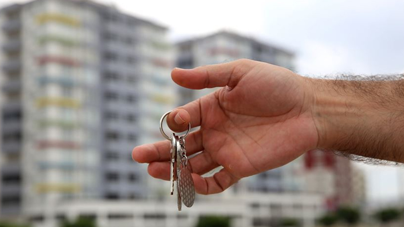 100 mille livres de pénalité pour le propriétaire qui a augmenté le prix exorbitant!