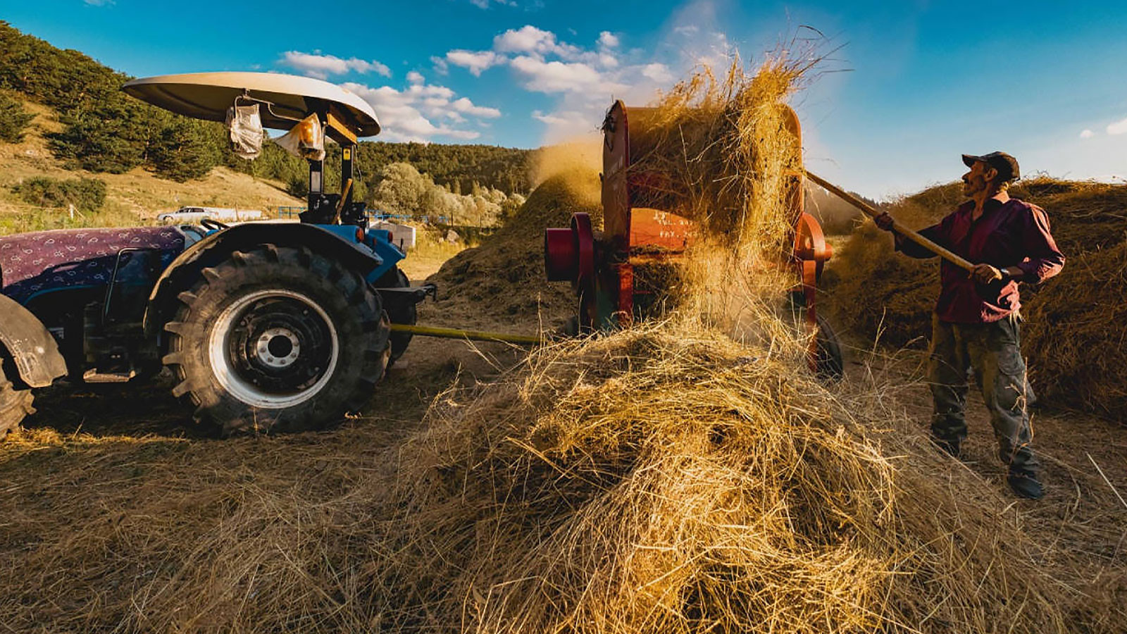 Engrais, diesel, alimentation! Charge de l'agriculteur replié en 2025