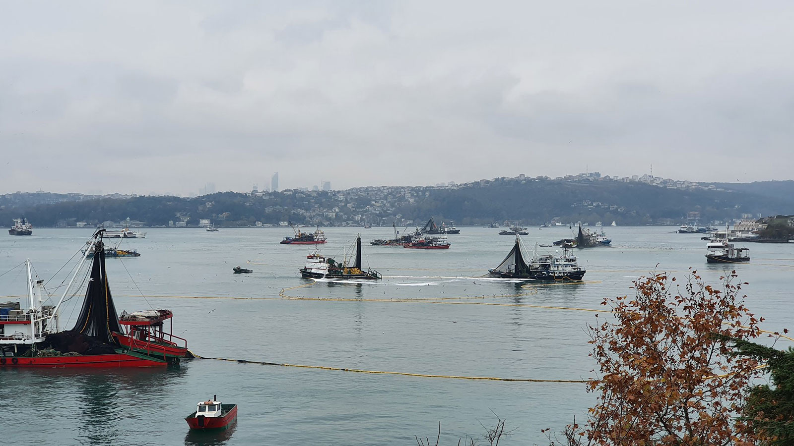 Ils passent par là ! Est-il possible de chasser comme un massacre ?