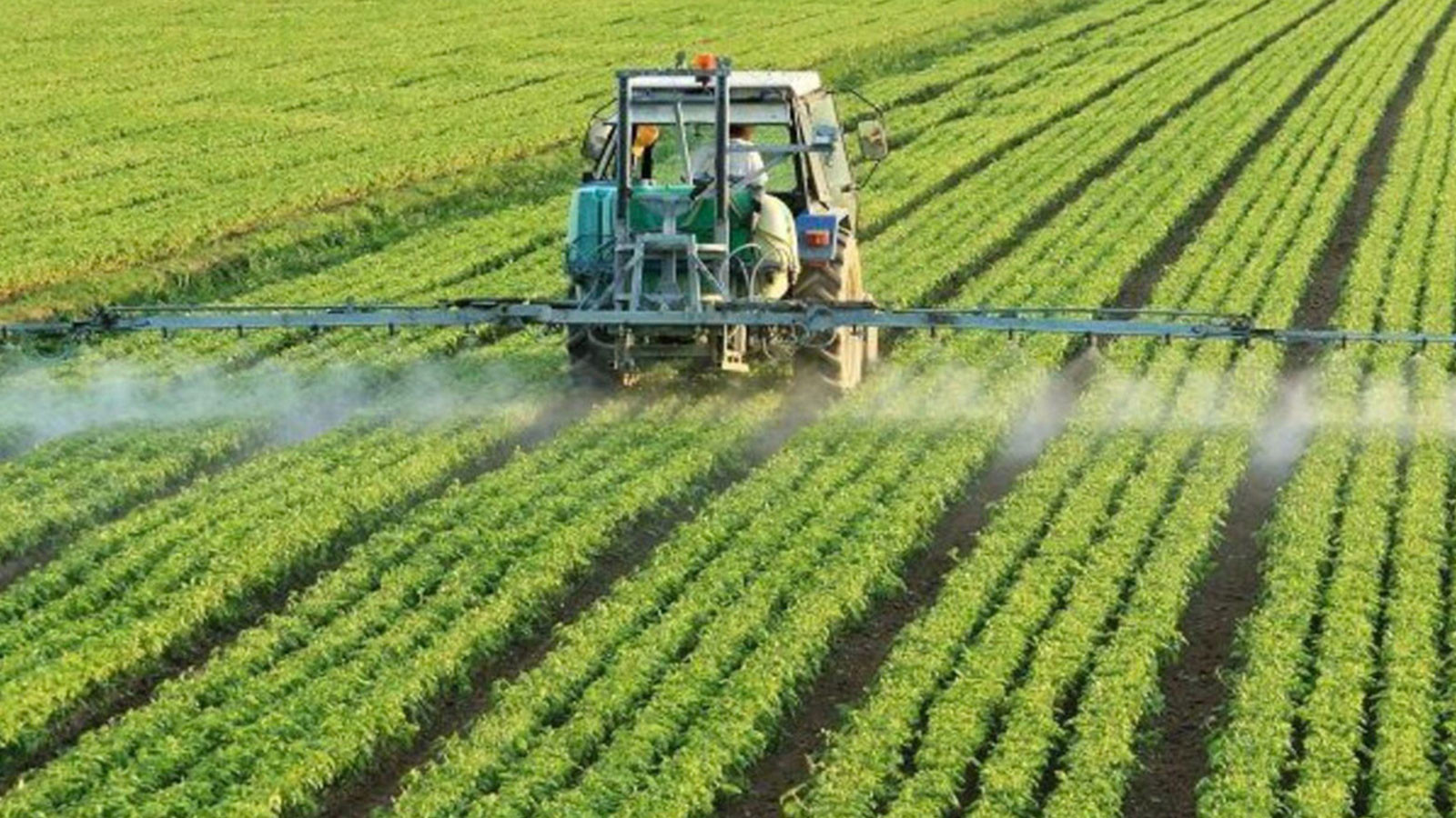 Avertissement sur les pesticides de Greenpeace