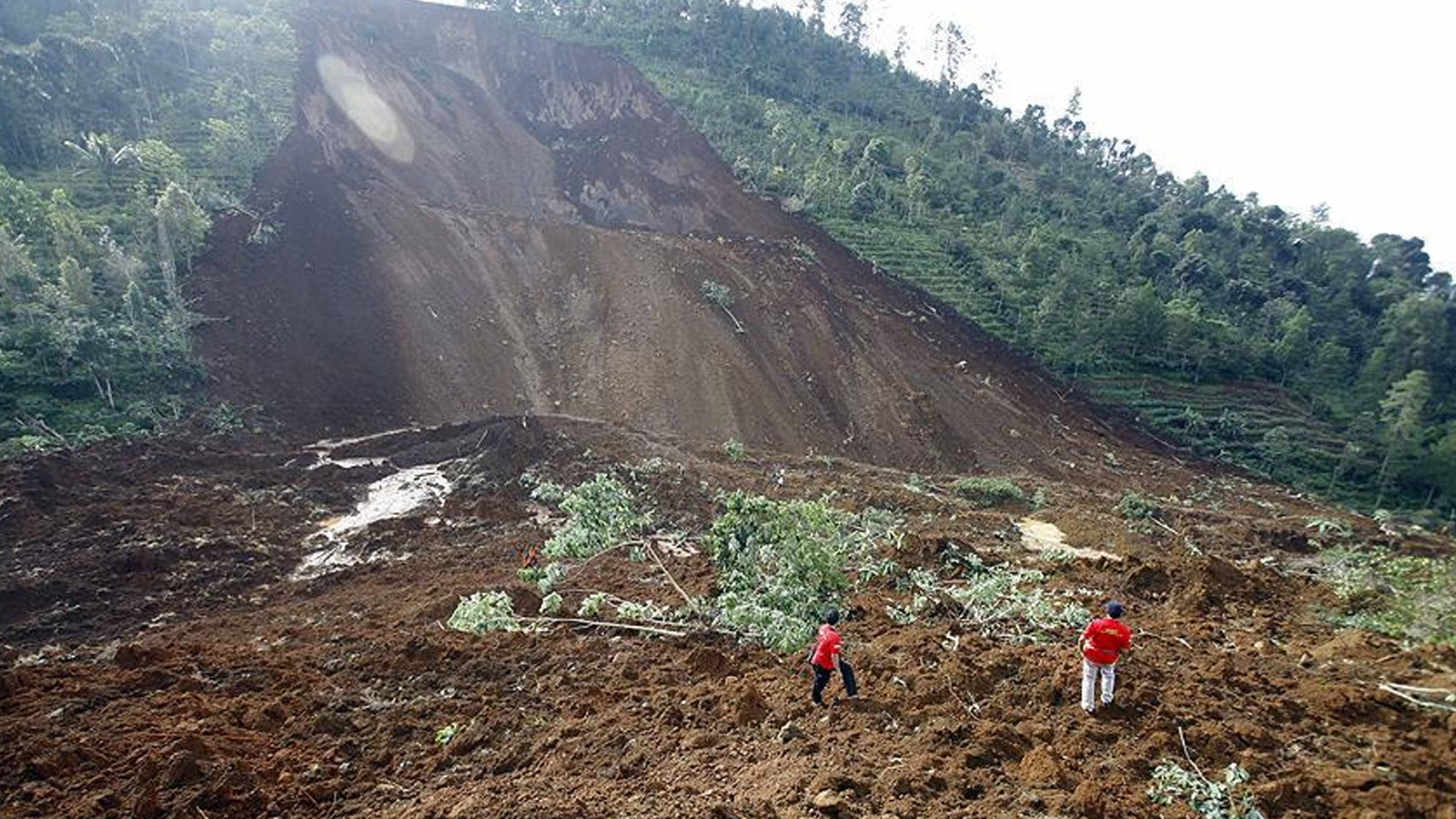 Catastrophe de glissement de terrain ! 15 personnes sont mortes dans le bus enfoui sous terre