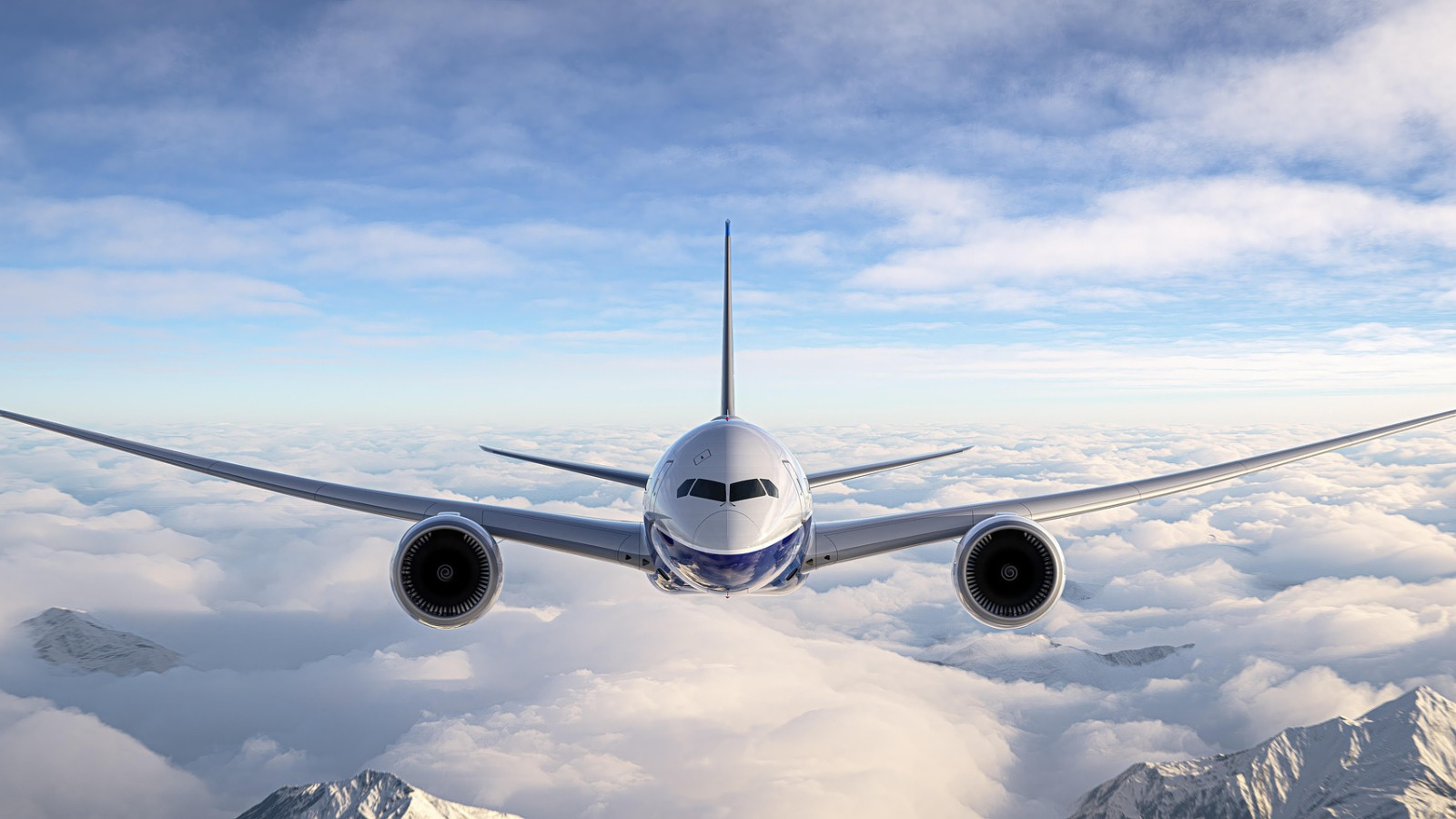 Cauchemar dans l'avion... Les passagers ont été transportés à l'hôpital